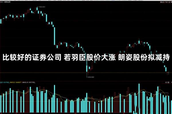 比较好的证券公司 若羽臣股价大涨 朗姿股份拟减持