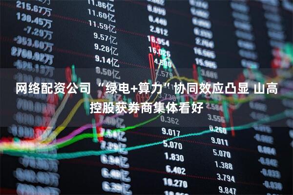 网络配资公司 “绿电+算力”协同效应凸显 山高控股获券商集体看好