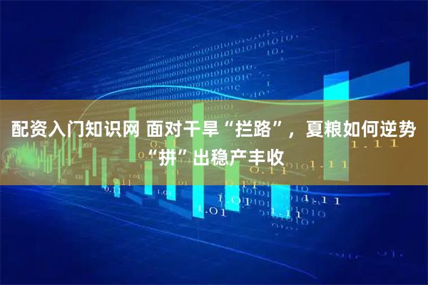 配资入门知识网 面对干旱“拦路”，夏粮如何逆势“拼”出稳产丰收