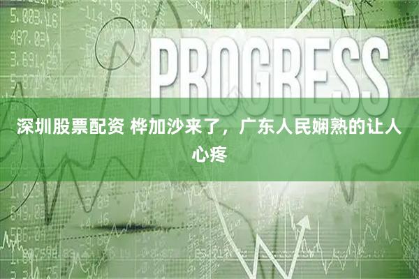 深圳股票配资 桦加沙来了，广东人民娴熟的让人心疼